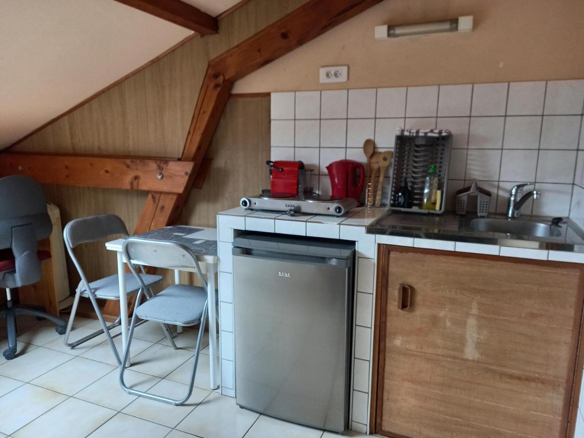 Les Appartements Du Lion De Belfort Buitenkant foto