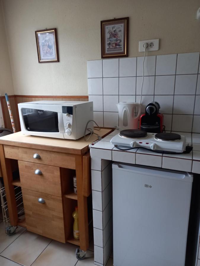Les Appartements Du Lion De Belfort Buitenkant foto