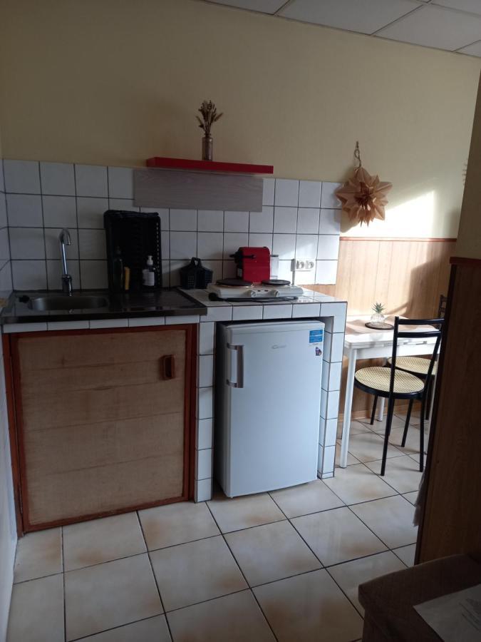 Les Appartements Du Lion De Belfort Buitenkant foto