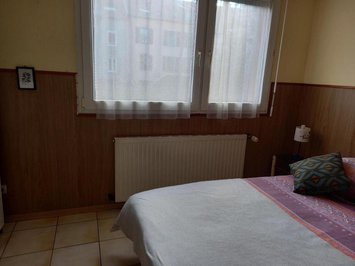 Les Appartements Du Lion De Belfort Buitenkant foto