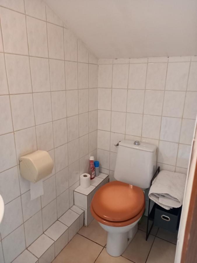 Les Appartements Du Lion De Belfort Buitenkant foto
