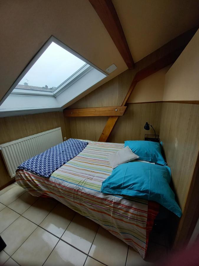 Les Appartements Du Lion De Belfort Buitenkant foto