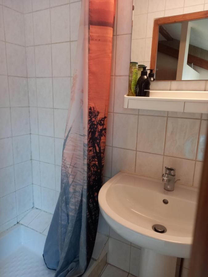 Les Appartements Du Lion De Belfort Buitenkant foto