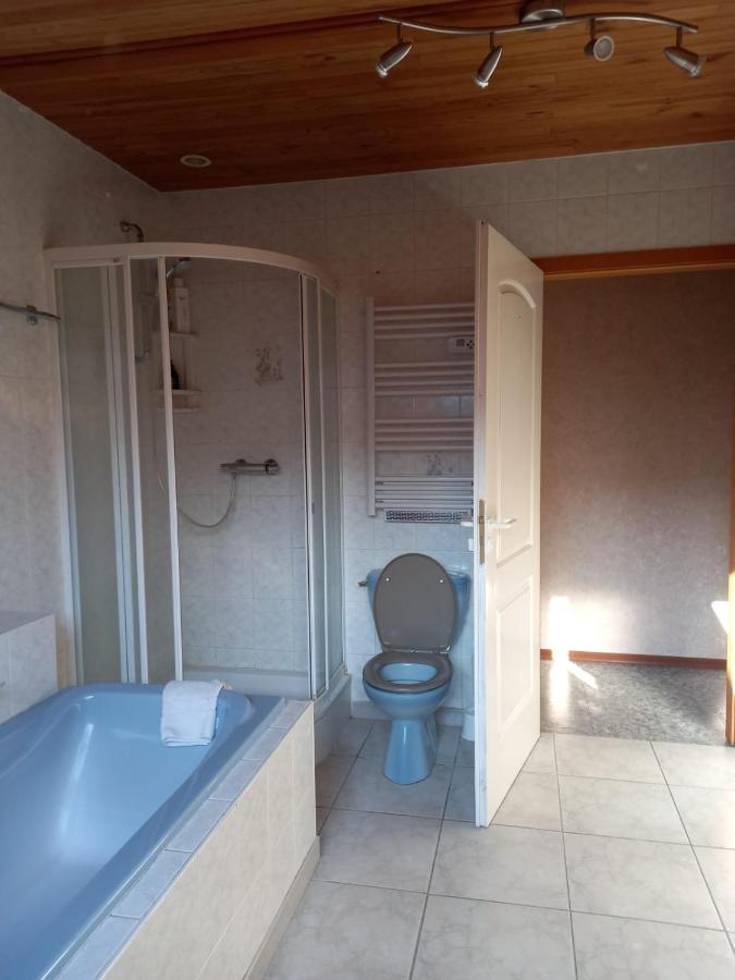 Les Appartements Du Lion De Belfort Buitenkant foto